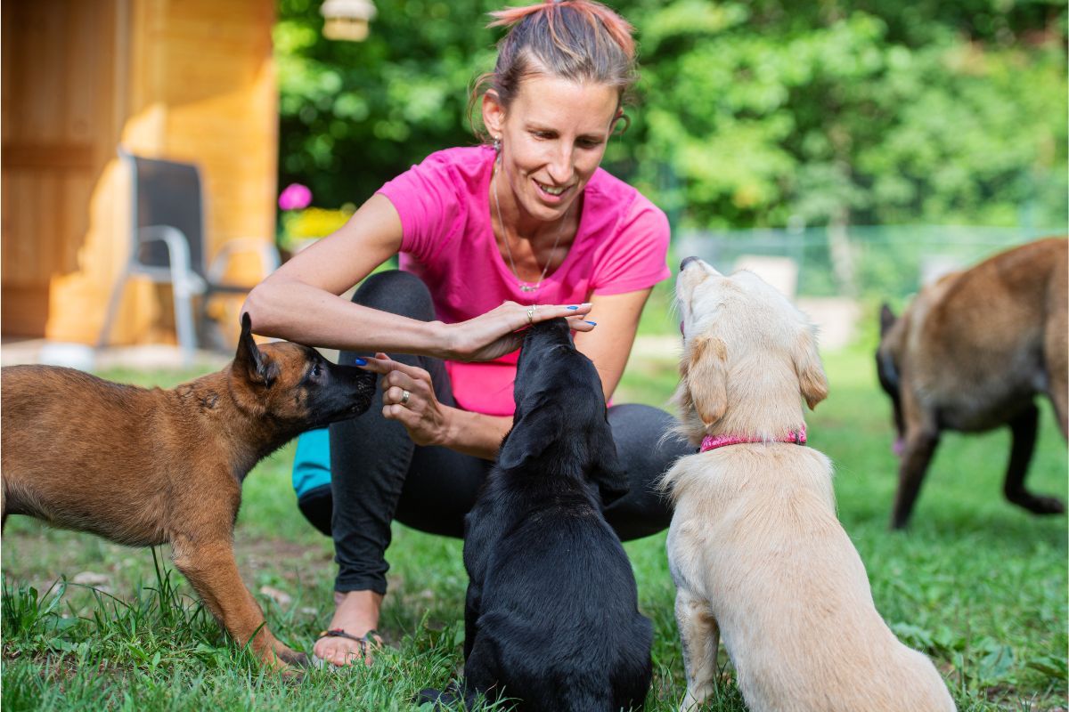 Lady patting three dogs