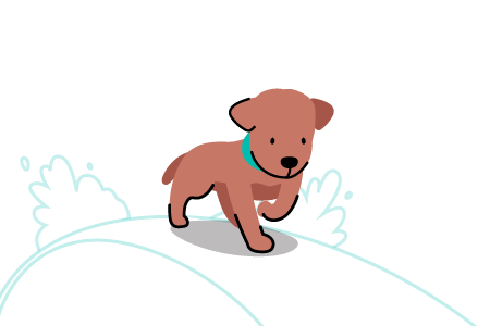 Limping after exercise