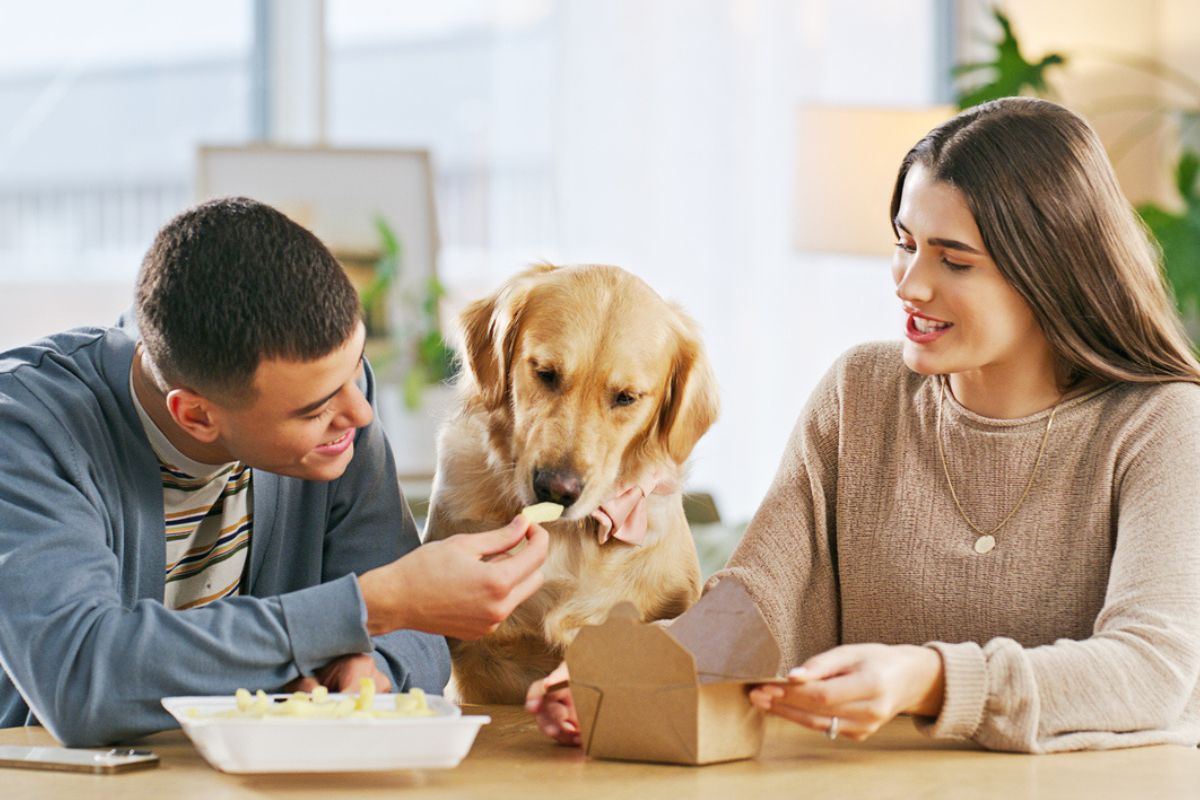 Couple feeding their dog chips